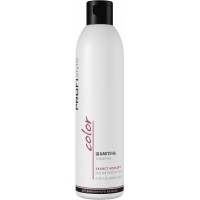 Шампунь Profistyle Color Защита цвета, 250 мл