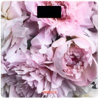 Ваги підлогові ARDESTO SCB-965PEONIES, 1 шт