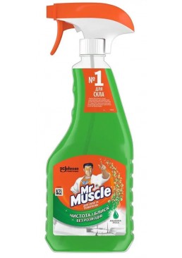 Средство для мытья стекол Mr. Muscle, 500 мл (с распылителем)