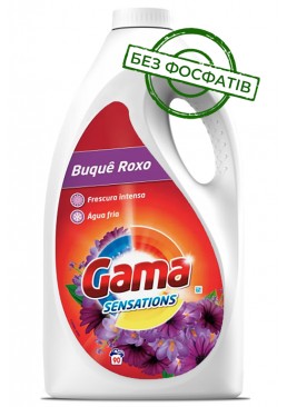 Гель для прання Gama Buque Roxo з квітковим ароматом, 4.05 л (90 прань)
