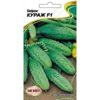 Семена НК ЭЛИТ Огурец Кураж F1, 10 г