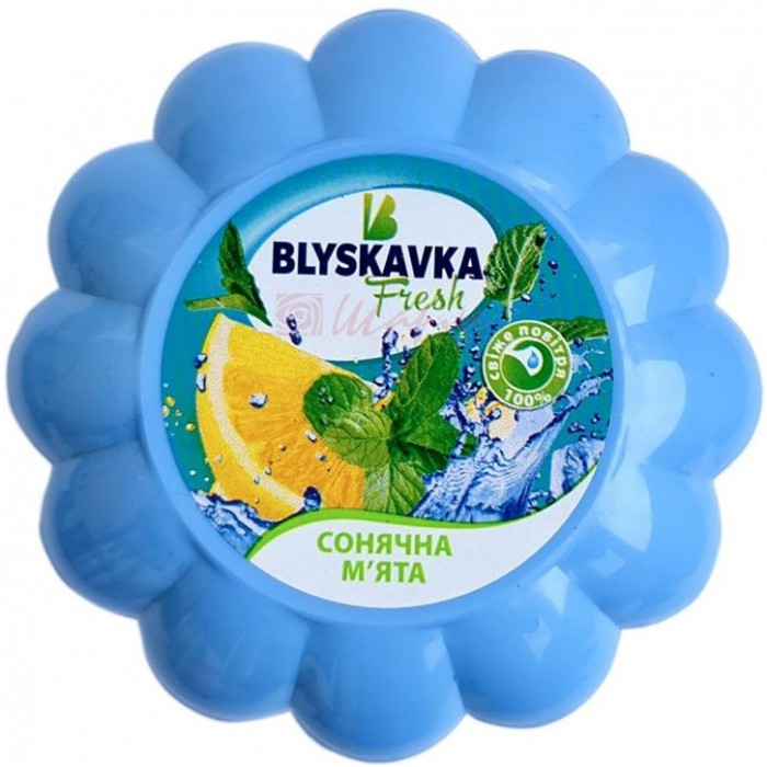 Гелевый освежитель Blyskavka Fresh Солнечная Мята, 1 шт - 