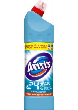 Универсальное средство Domestos Свежесть Атлантики 24 часа, 1 л