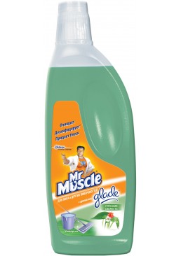Средство для мытья пола и других поверхностей Mr Muscle Утренняя свежесть, 500 мл