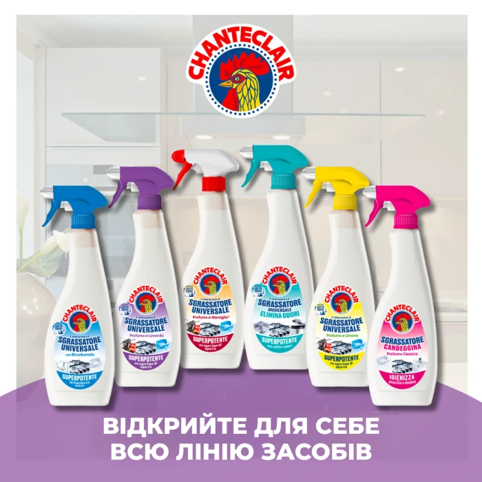 Універсальний очищувач плямовивідник Chante Clair Лаванда, 600 мл - 