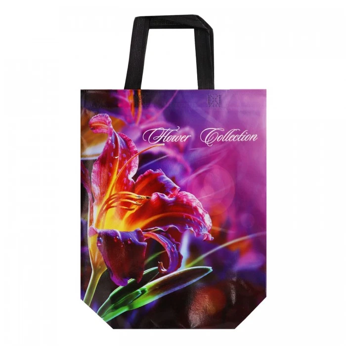 Сумка господарська ламінована, 29х33 см (в асортименті) - 