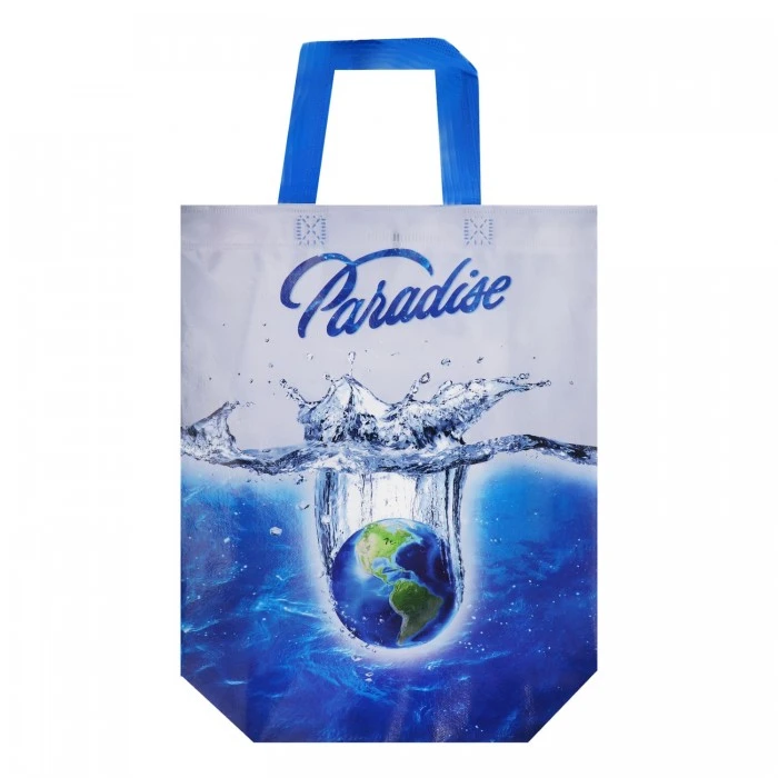 Сумка господарська ламінована, 29х33 см (в асортименті) - 