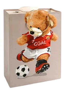 Пакет подарунковий "Круте ведмежа", 18х24х8.5 см (в асортименті)